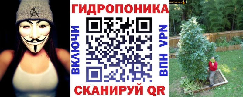 блэк спрут как войти  купить   Уссурийск  Каннабис индика 
